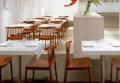 Smile Side Chair 9 Smile Side Chair -Home Furnishing Store Andreu World Lievore Alther Molina Smile side chair 4