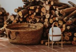 Cestita Bateria, 2017