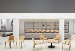 Fugu Dining Chair, 2019 9 Fugu Dining Chair, 2019 -Home Furnishing Store Fugu dining chair 1