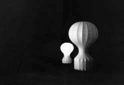 Flos Gatto, 1960 -Home Furnishing Store Gatto table light 1