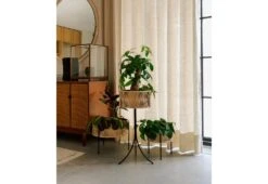 Menu Umanoff Planter, 1961 -Home Furnishing Store Menu Arther Umanoff Umanoff Planter 2