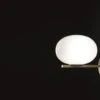 Alba Wall Light, 2017 2 Alba Wall Light, 2017 -Home Furnishing Store Oluce Mariana Pellegrino Soto Alba wall 1