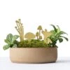 Mini Plant Mushrooms, 2018 -Home Furnishing Store another studio mini mushrooms 2