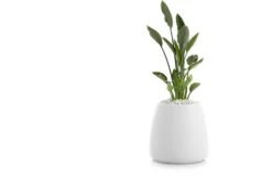 Gobi Planter -Home Furnishing Store gobi 1 gandia blasco twentytwentyone 7