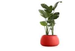 Gobi Planter -Home Furnishing Store gobi 3 gandia blasco twentytwentyone 1