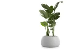 Gobi Planter -Home Furnishing Store gobi 3 gandia blasco twentytwentyone 2