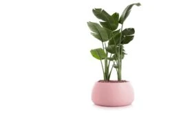 Gobi Planter -Home Furnishing Store gobi 3 gandia blasco twentytwentyone 7