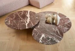 Grasshopper Coffee Table, 2017