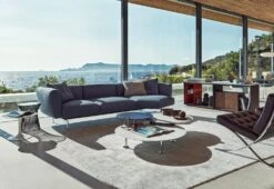 Grasshopper Coffee Table, 2017 -Home Furnishing Store knoll lissoni grasshopper low coffee 3