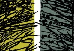 Larch Fabric, 1961 -Home Furnishing Store larch 2