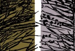 Larch Fabric, 1961 -Home Furnishing Store larch 3