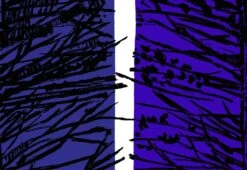 Larch Fabric, 1961 -Home Furnishing Store larch 4