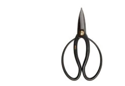Higurashi Scissors