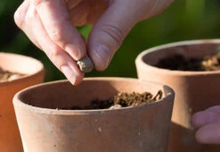 Home Furnishing Store -Home Furnishing Store project maya wildlife seed box 2