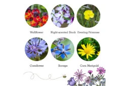 Project Maya Wildlife Seed Box -Home Furnishing Store project maya wildlife seed box bat