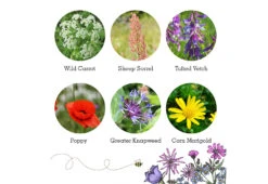 Project Maya Wildlife Seed Box -Home Furnishing Store project maya wildlife seed box bird