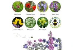 Project Maya Wildlife Seed Box -Home Furnishing Store project maya wildlife seed box hedgehog