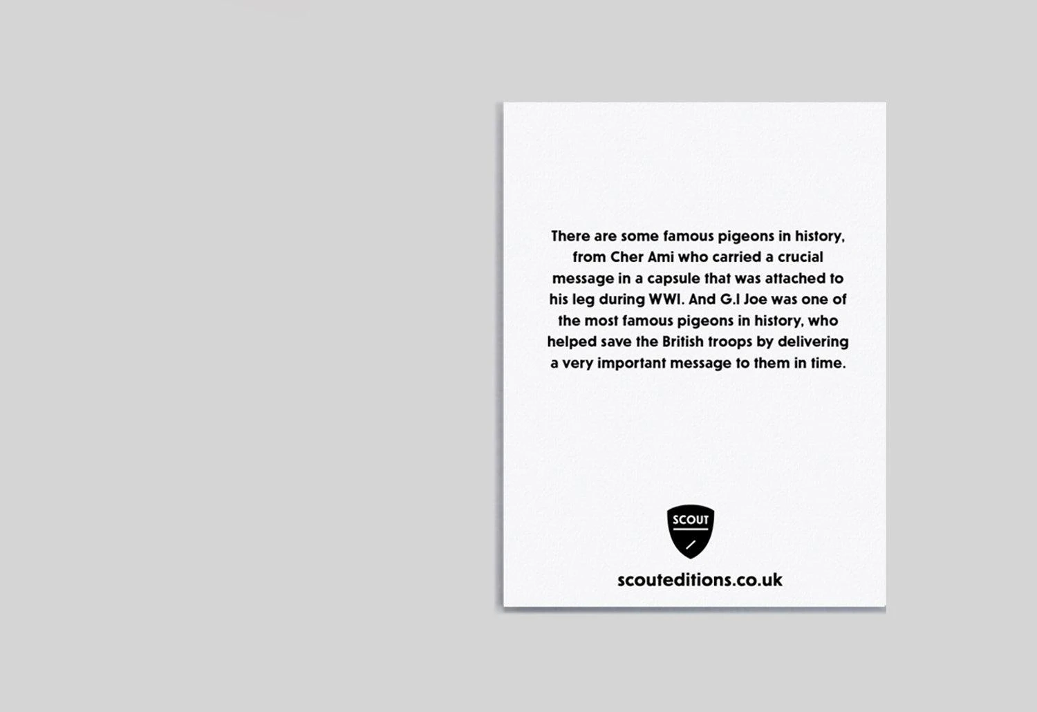 Pigeon Mini Card 4 Pigeon Mini Card - Image 2