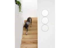 Glance Wall Mirror -Home Furnishing Store twentytwentyone wirework glance mirror 3