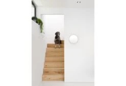 Glance Wall Mirror -Home Furnishing Store twentytwentyone wirework glance mirror 4